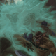 Illustration for article titled The New Dungeons & Dragons Player's Handbook Is Here